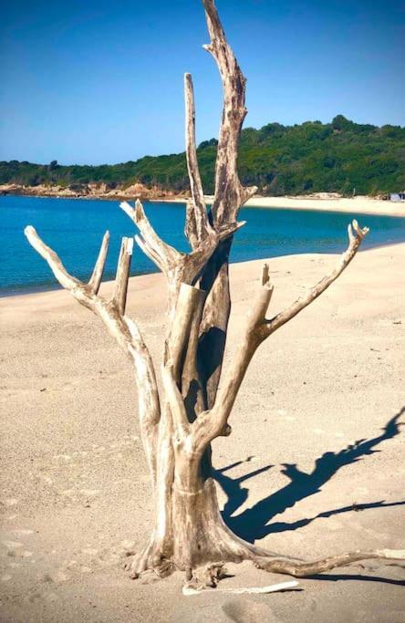 Villa Proche Ajaccio Et Mer Exclusive 2 A 10 Voyageurs Bastelicaccia Екстер'єр фото